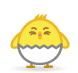 ひよこ